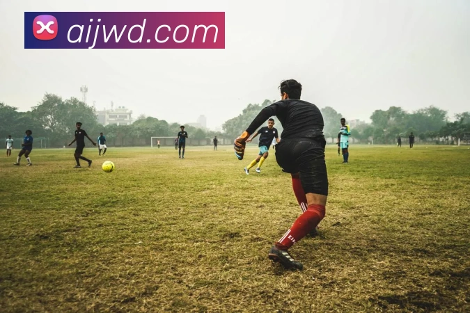 问鼎娱乐服务体系